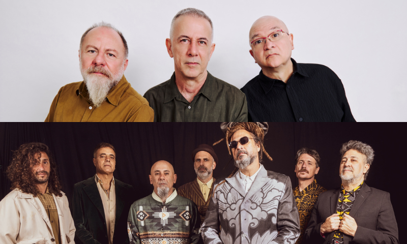 PARALAMAS + NONPALIDECE